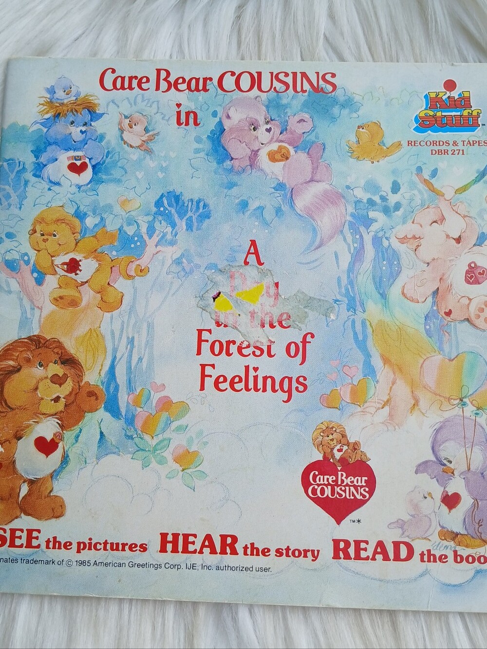 Care Bear Cousins in A Day in the Forest of Feelings Vintage 80s 1980s Book 1985